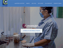 Tablet Screenshot of laboratoriosdelcentro.com